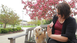 woman does high five with a dog